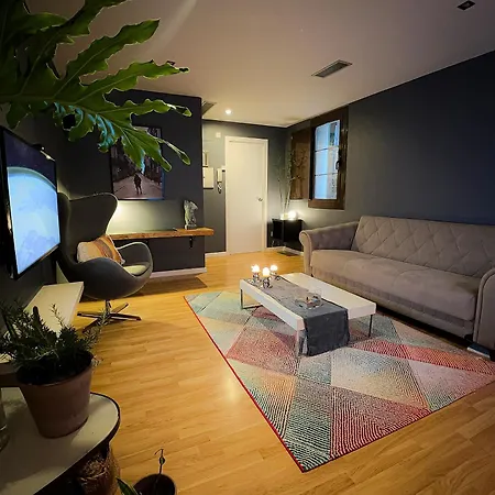 Apartment Cusy In The Gothic Quarter Of *